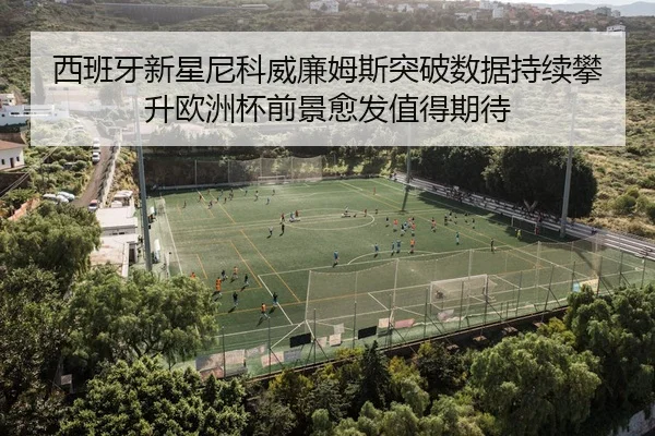 xi-ban-ya-xin-xing-ni-ke-wei-lian-mu-si-tu-po-shu-ju-chi-xu-pan-sheng-ou-zhou-bei-qian-jing-yu-fa-zhi-de-qi-dai-1-357.jpg
